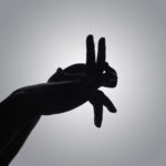 Znáte čínské názvy jednotlivých let?