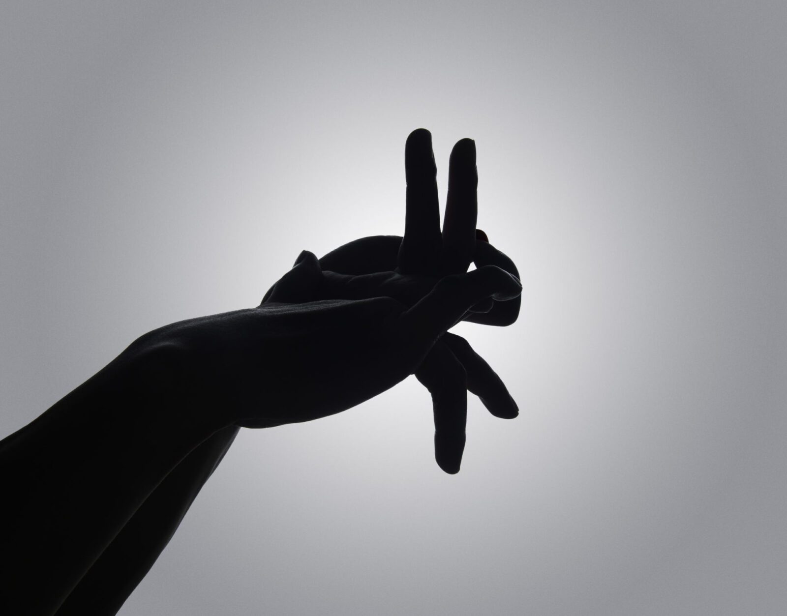 Znáte čínské názvy jednotlivých let?