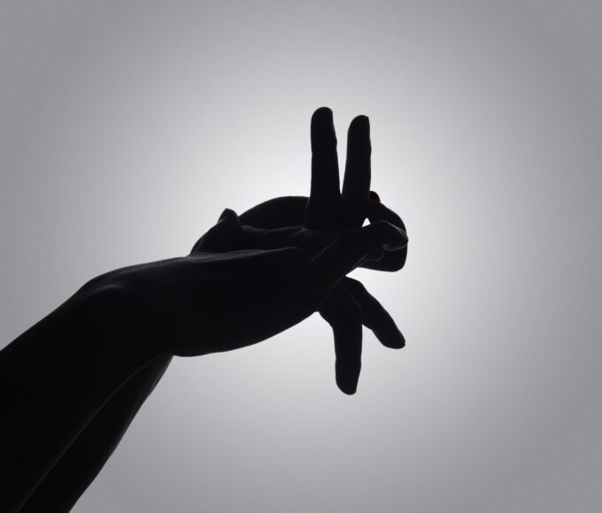 Znáte čínské názvy jednotlivých let?