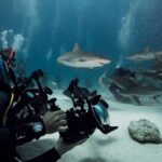 Delma Blue Shark je skutečný potápěčský přístroj