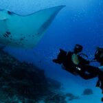 Carl. F. Bucherer a spoluráce s Manta Trust