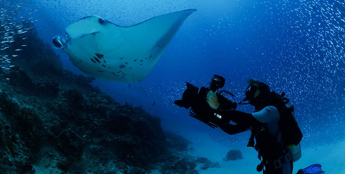 Carl. F. Bucherer a spoluráce s Manta Trust