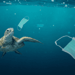 Takto vypadá realita oceánů. Změnit je mohou i hodinářské firmy.