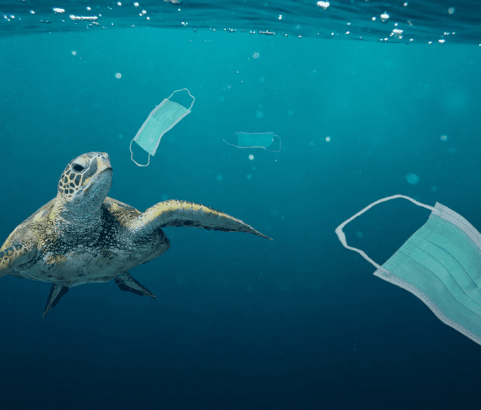 Takto vypadá realita oceánů. Změnit je mohou i hodinářské firmy.