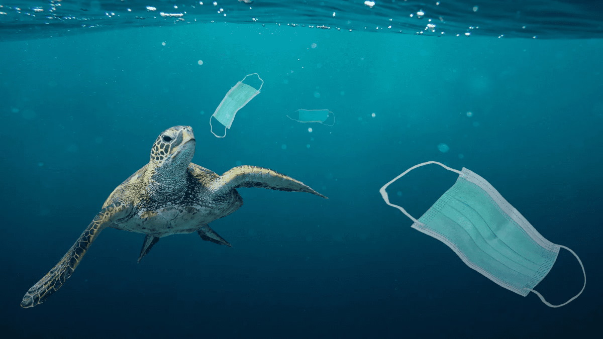 Takto vypadá realita oceánů. Změnit je mohou i hodinářské firmy.